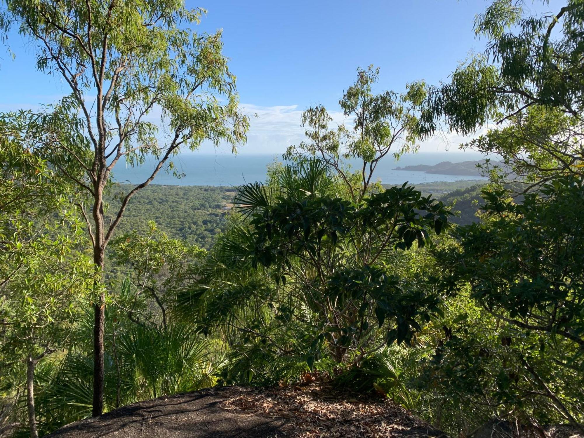 Shambhala Retreat Magnetic Island Cottages Nelly Bay Eksteriør billede
