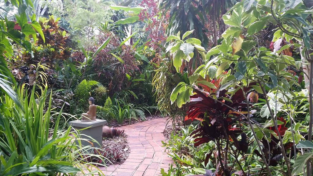 Shambhala Retreat Magnetic Island Cottages Nelly Bay Eksteriør billede